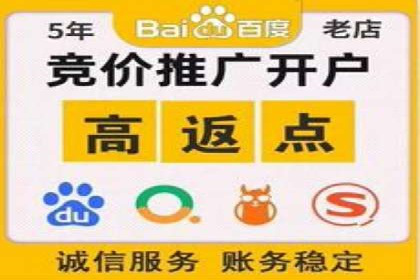 某品牌SEM代运营的成长历程与启示